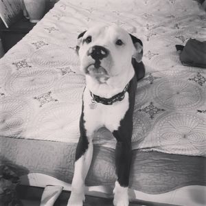 Meet your Posher, Rob